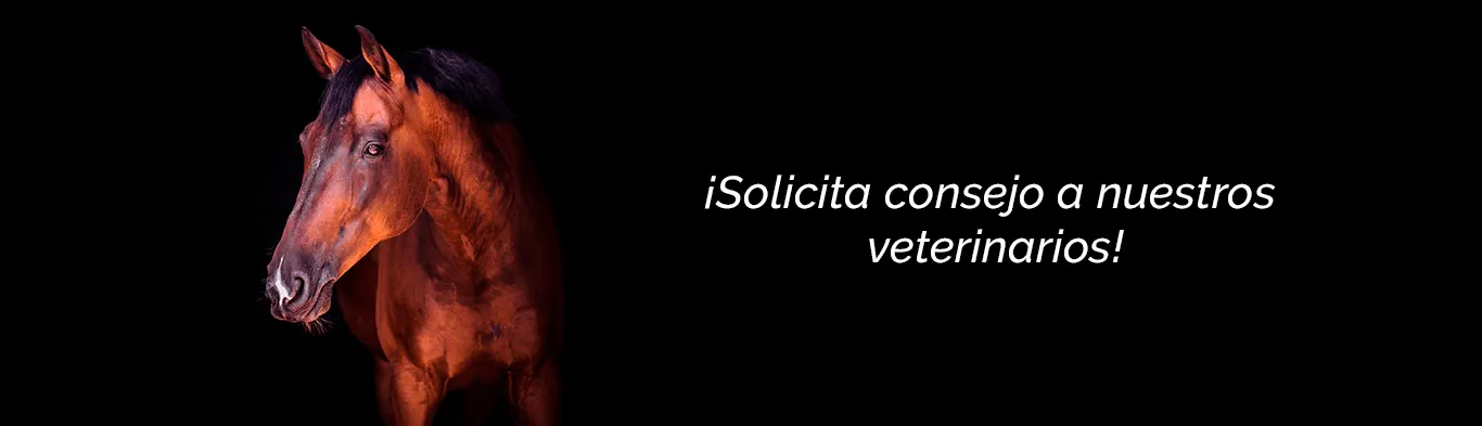 FONDO – CONTACTO – AGOSTO 29 AGOSTO 2020(1)