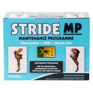 STRIDE_MANTENIMIENTO_60X20_GR