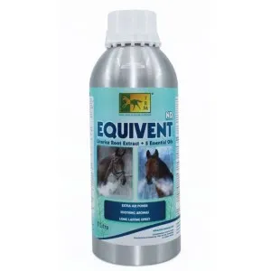 equivent-nd-1l