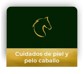 ICONO - CUIDADO CABALLO