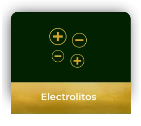 ICONO - ELECTROLITOS