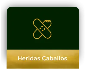 ICONO - HERIDAS