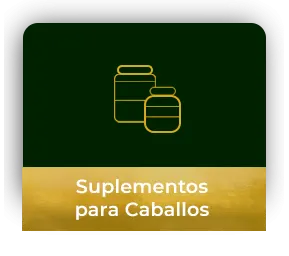 ICONO - SUPLEMENTOS