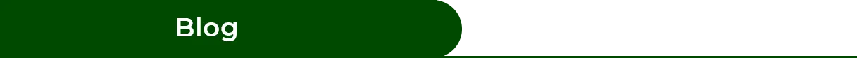 TITULO – BLOG