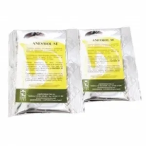 anesmol_se (1)