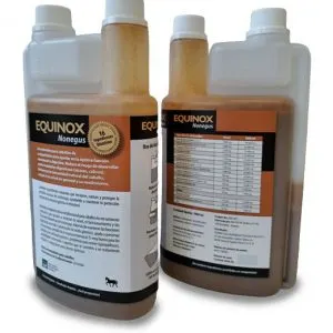 Equinox-equine-nonegus-1