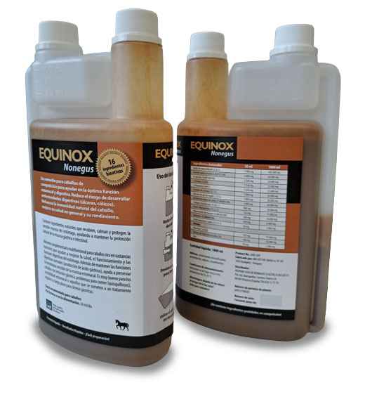 Equinox-equine-nonegus-1
