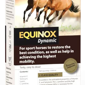 producto-equinox-dynamic