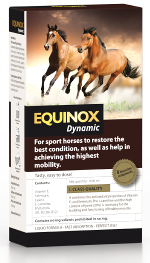 producto-equinox-dynamic