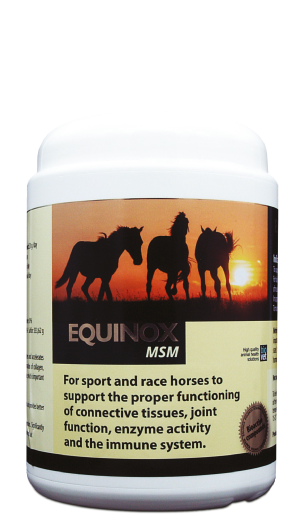 producto-equinox-msm