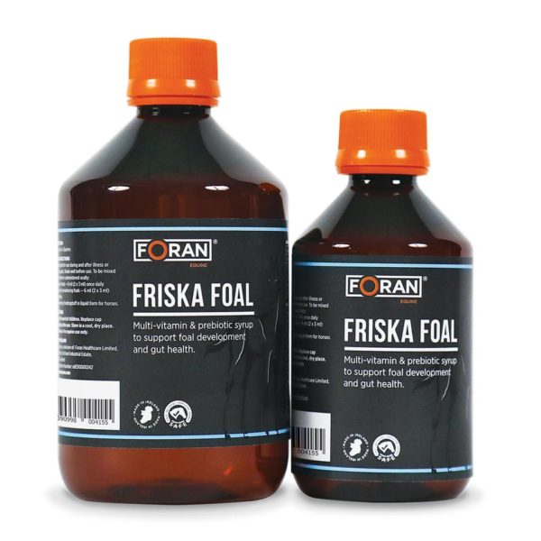 976_FRISKA_FOAL_W-600x600
