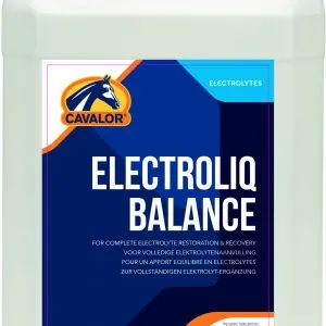 Electroliq 5 L1