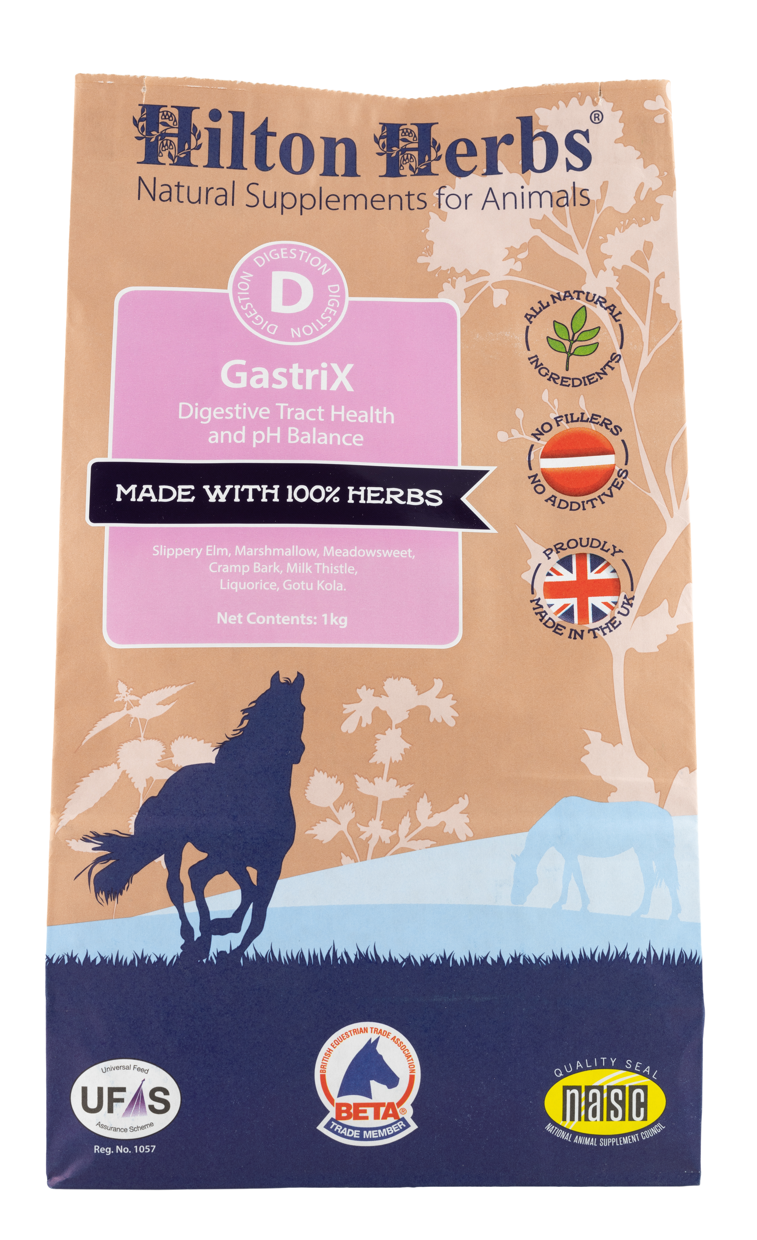 GastriX_FRONT