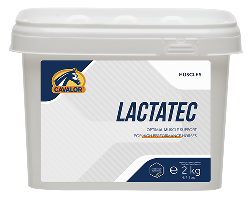 NUT PERFORMANCE - Lactatec 2kg Packshot RGB Transp - bj