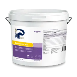 Support 2020 Electrolyte Plus 2kg
