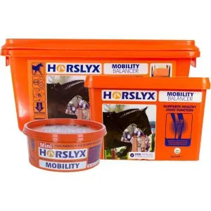 horslyx_mobility-44610467-a1146435-a1078879.6c8fc5