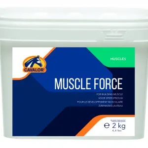 muscle force 2 Kg7