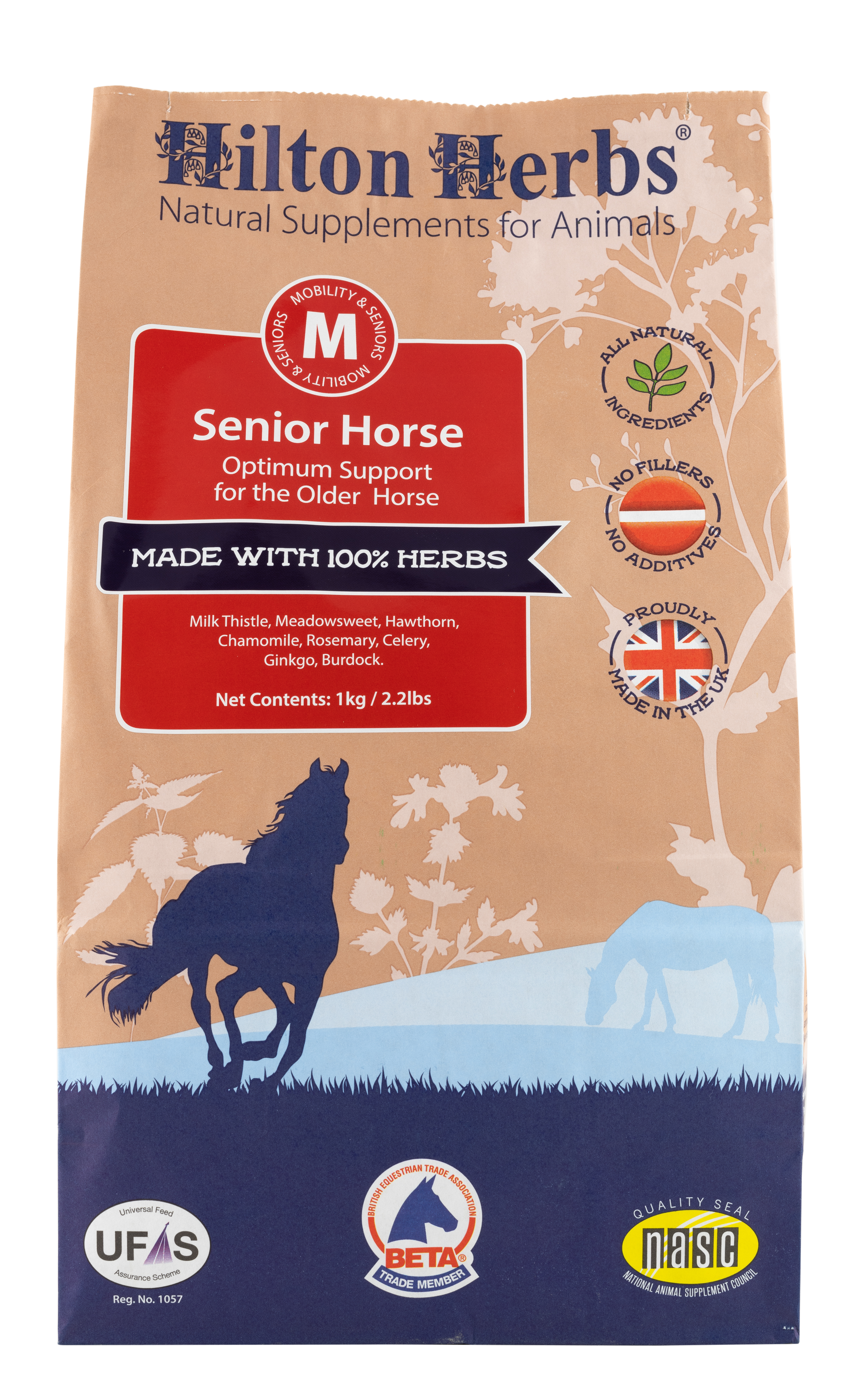 Senior_Horse_FRONT
